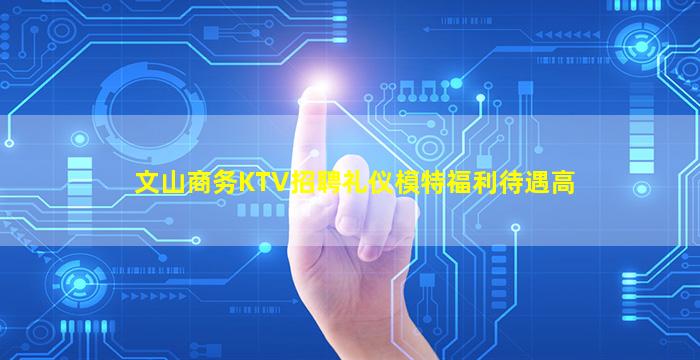 文山商务KTV招聘礼仪模特福利待遇高